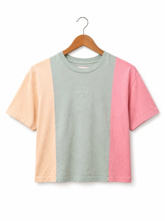 Teddy Fresh Tops - Teddy Fresh Colorblock Embroidered Boxy Crop Tee Women’s Size M Pastel skater